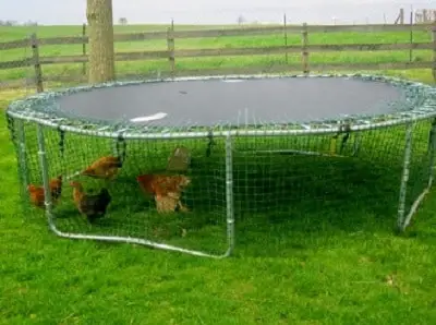 Trampoline Chicken Coop & Pets Home